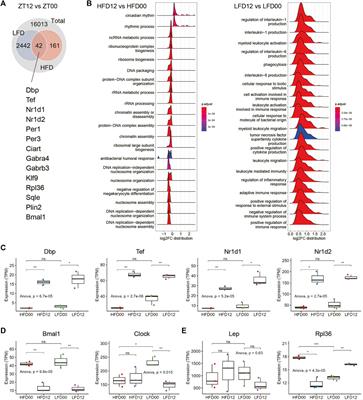 Circadian signatures of adipose tissue in diet-induced obesity